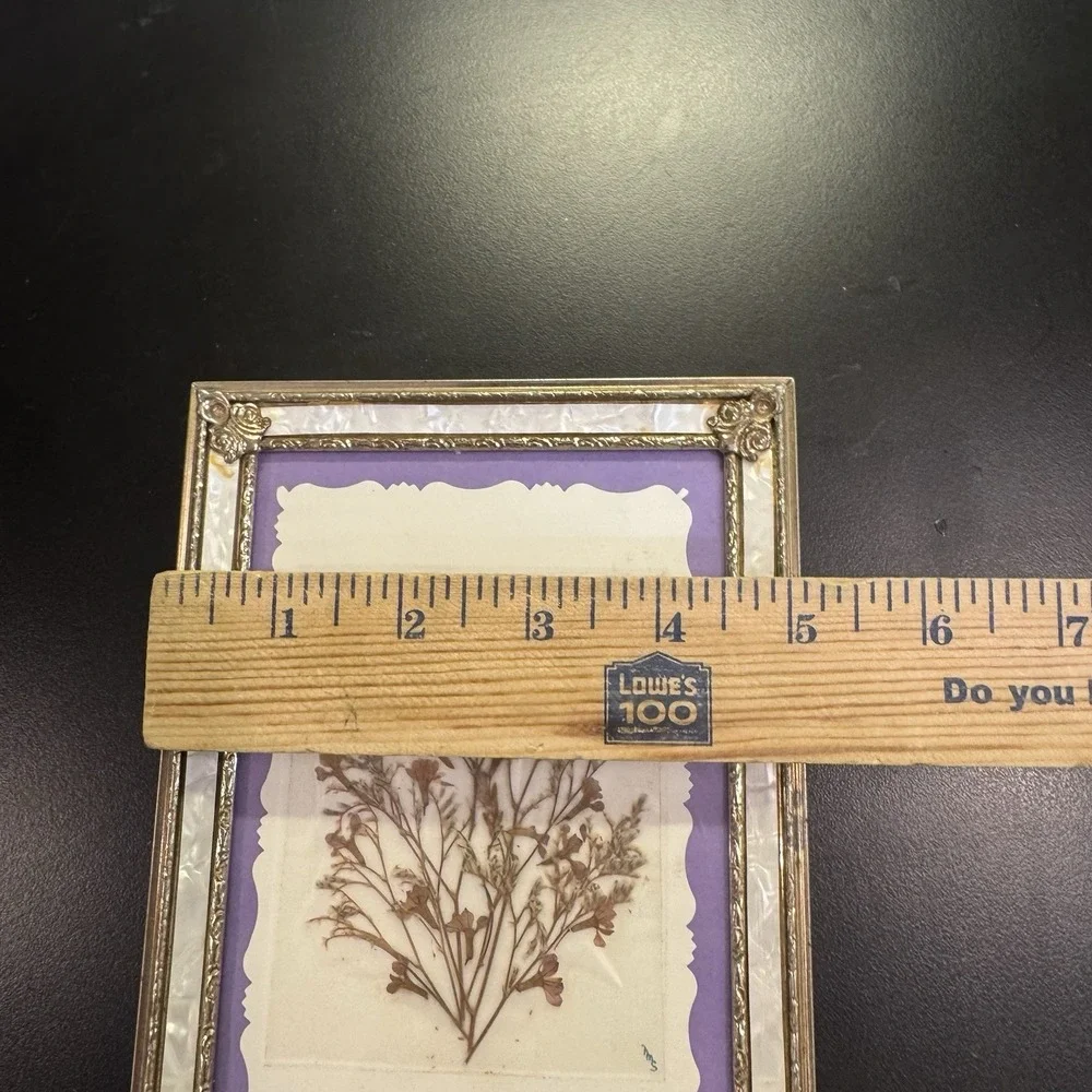 VTG Faux Mother of Pearl Frame Metal Ornate‎ Pressed Flowers Hollywood Regency